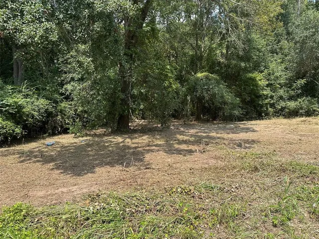 $120,000 | Tbd Tbd Sandbog, Athens, TX 75751