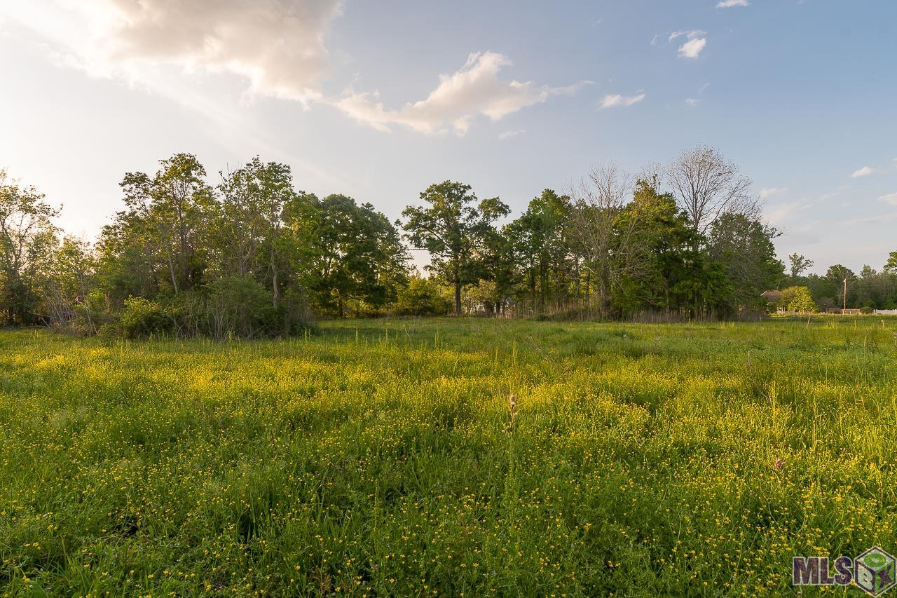 Sr-2-b-2 Loosemoore Road Gonzales, LA 70737 - Photo 2 of 9