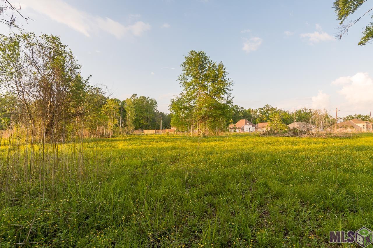 Sr-2-b-2 Loosemoore Road Gonzales, LA 70737 - Photo 3 of 9