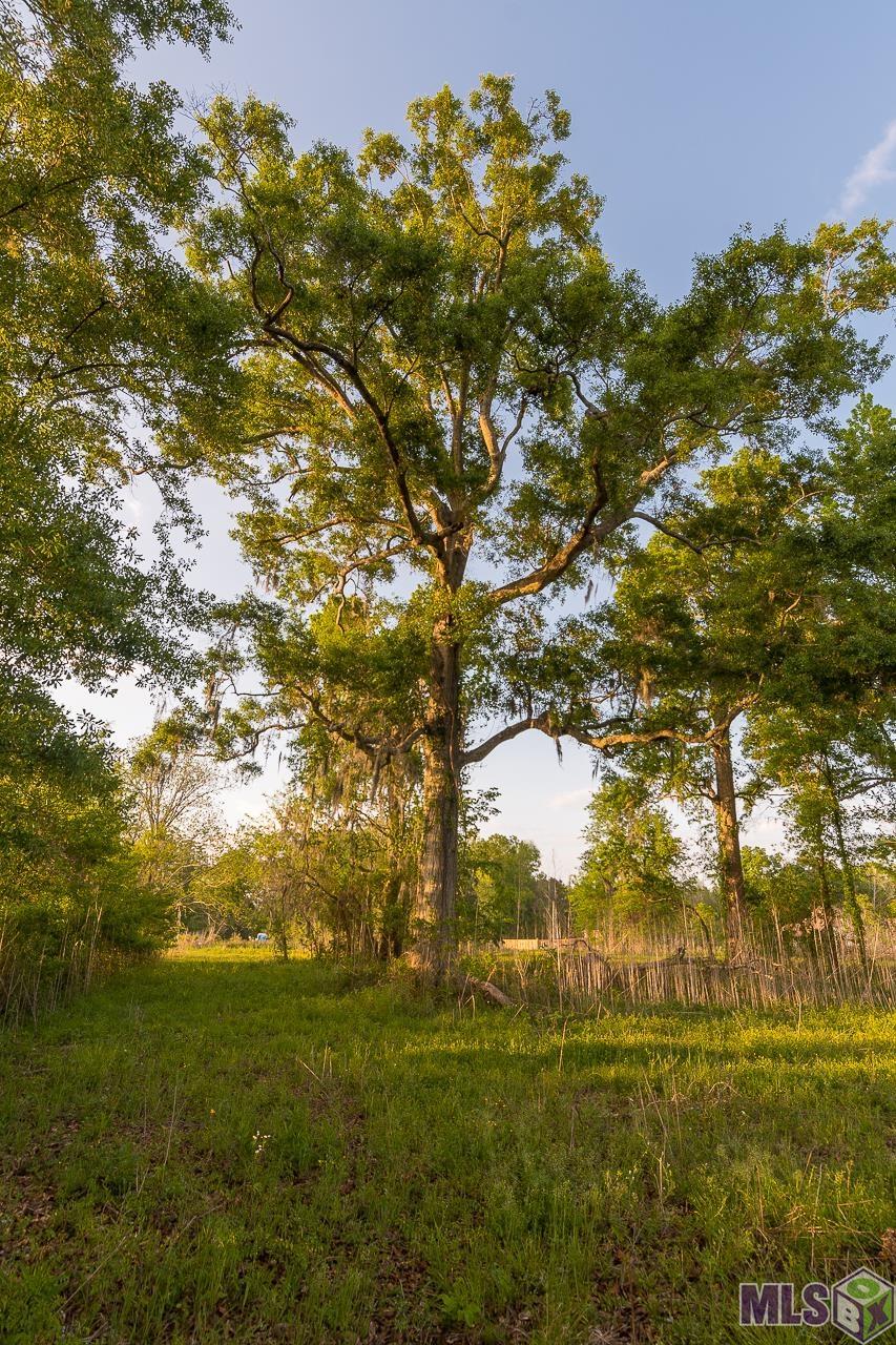 Sr-2-b-2 Loosemoore Road Gonzales, LA 70737 - Photo 7 of 9