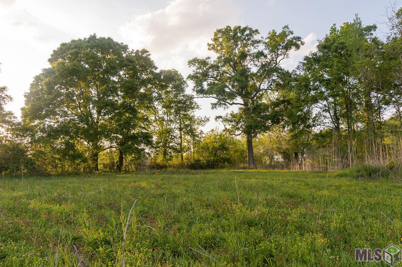 Sr-2-b-2 Loosemoore Road Gonzales, LA 70737 - Photo 8 of 9
