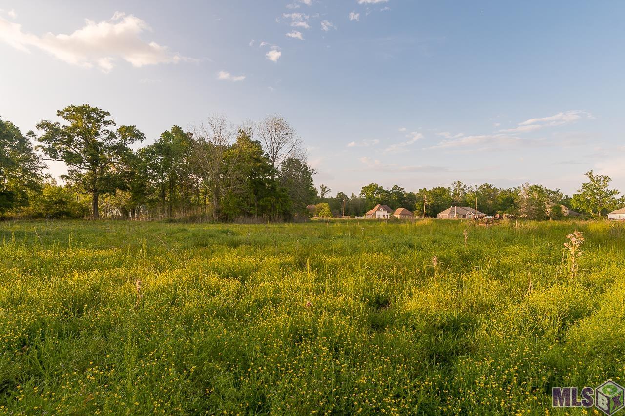 Sr-2-b-2 Loosemoore Road Gonzales, LA 70737 - Photo 9 of 9