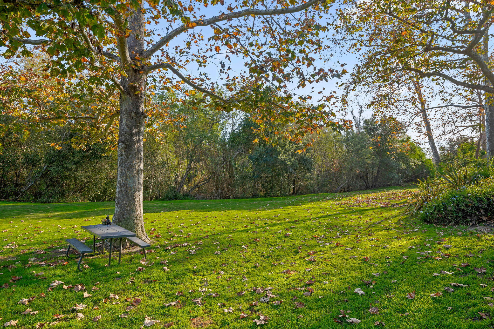 5290 Overpass Road, Unit 10 Goleta, CA 93111 - Photo 24 of 26 a view of a field with a tree