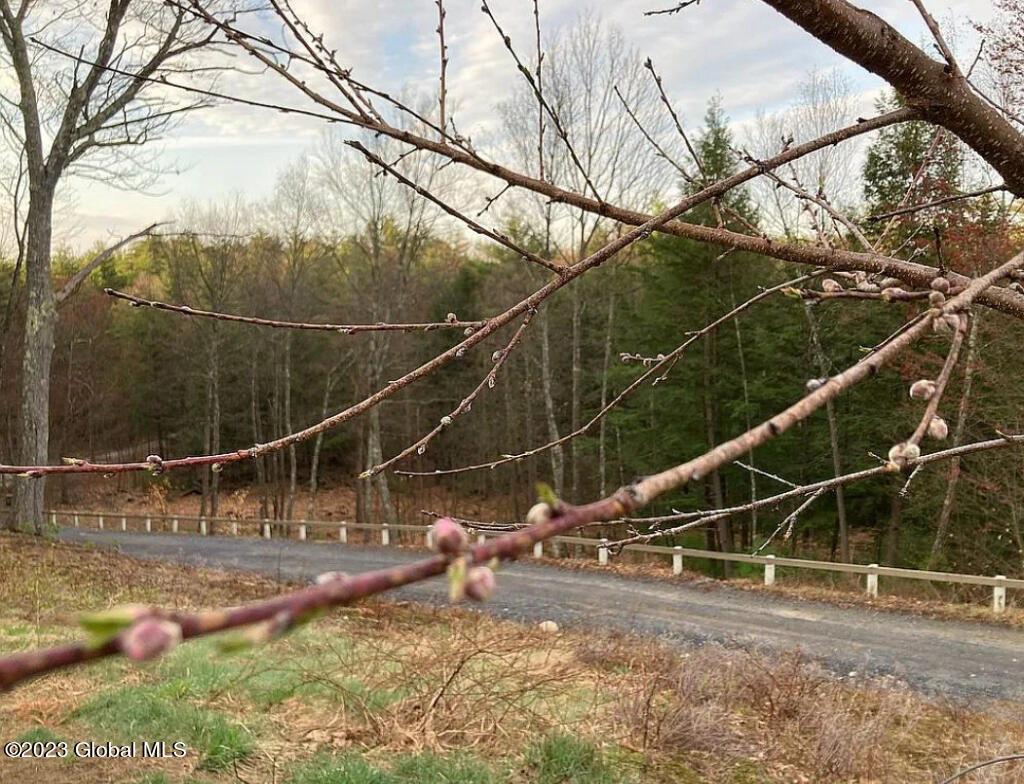 145 Lake Desolation Road Greenfield, NY 12850 - Photo 3 of 17 02