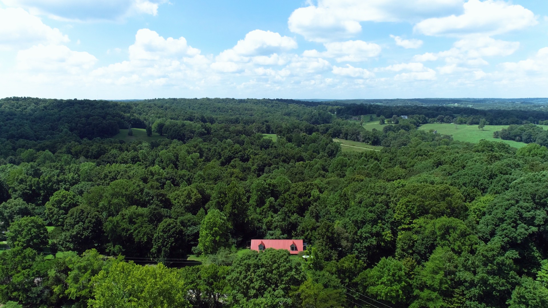862 Mt Herman Road Cunningham, TN 37052 - Photo 8 of 53 Gallery Image 8