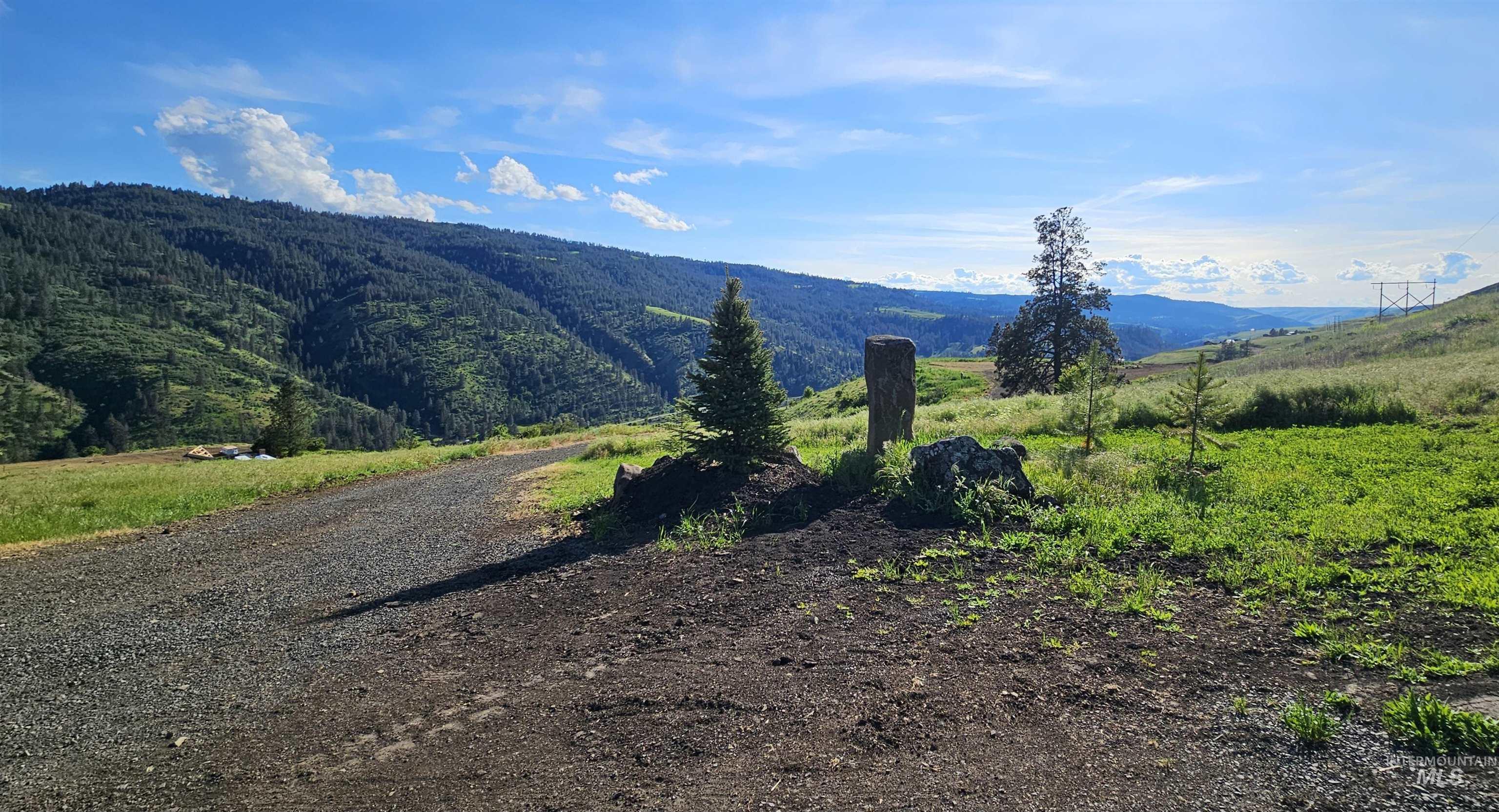 Tbd Lot 5 Tbd Lane Lenore, ID 83541 - Photo 6 of 31