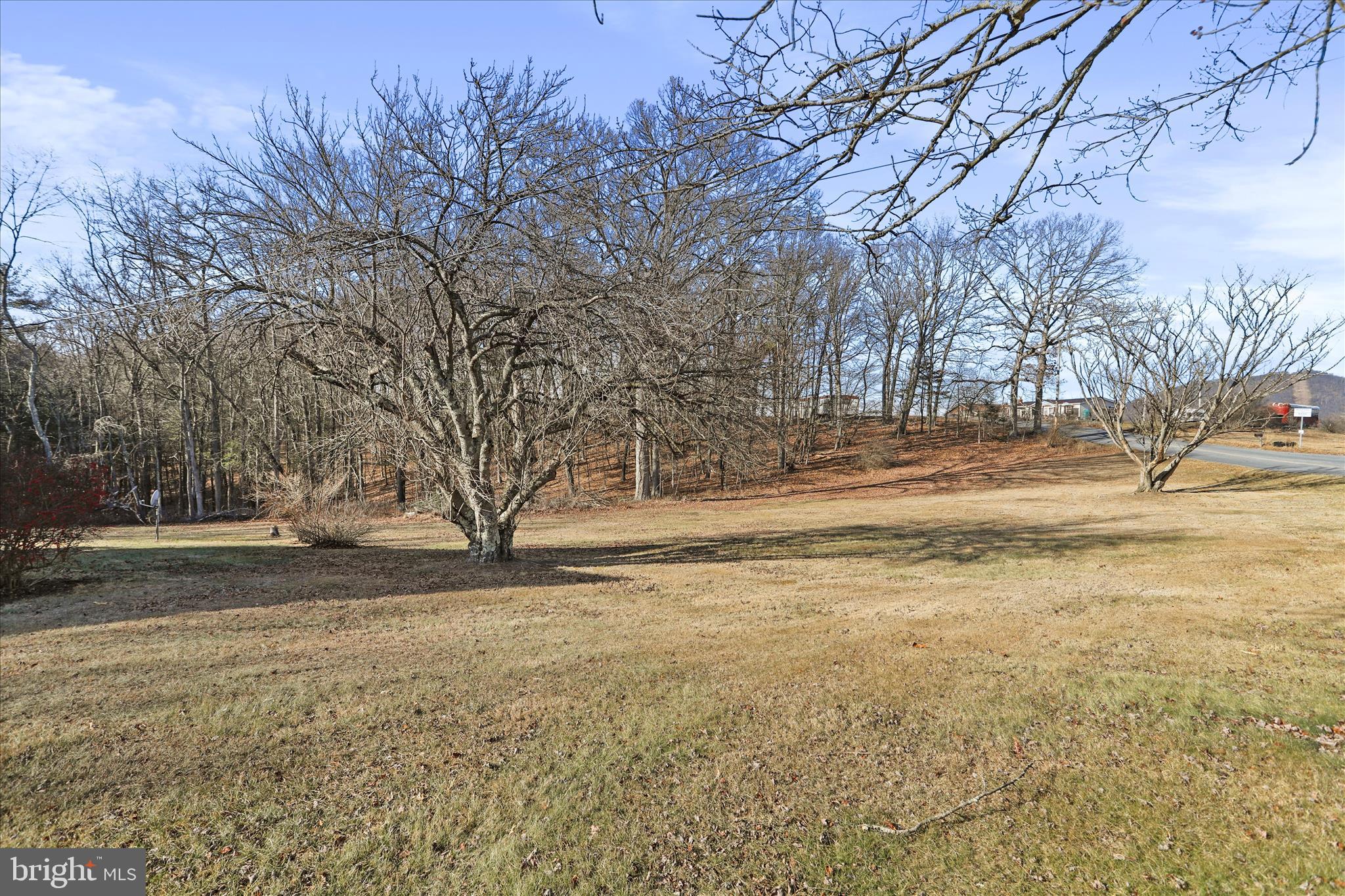 14111 Green Ridge Road Northeast Flintstone, MD 21530 - Photo 24 of 24 a view of dirt yard with a large tree