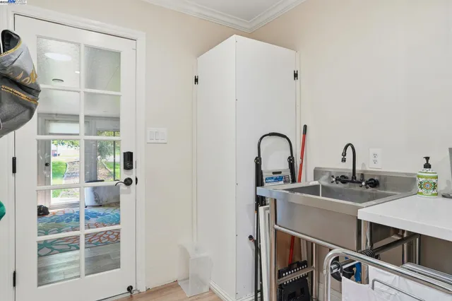 a view of a garden with a tree