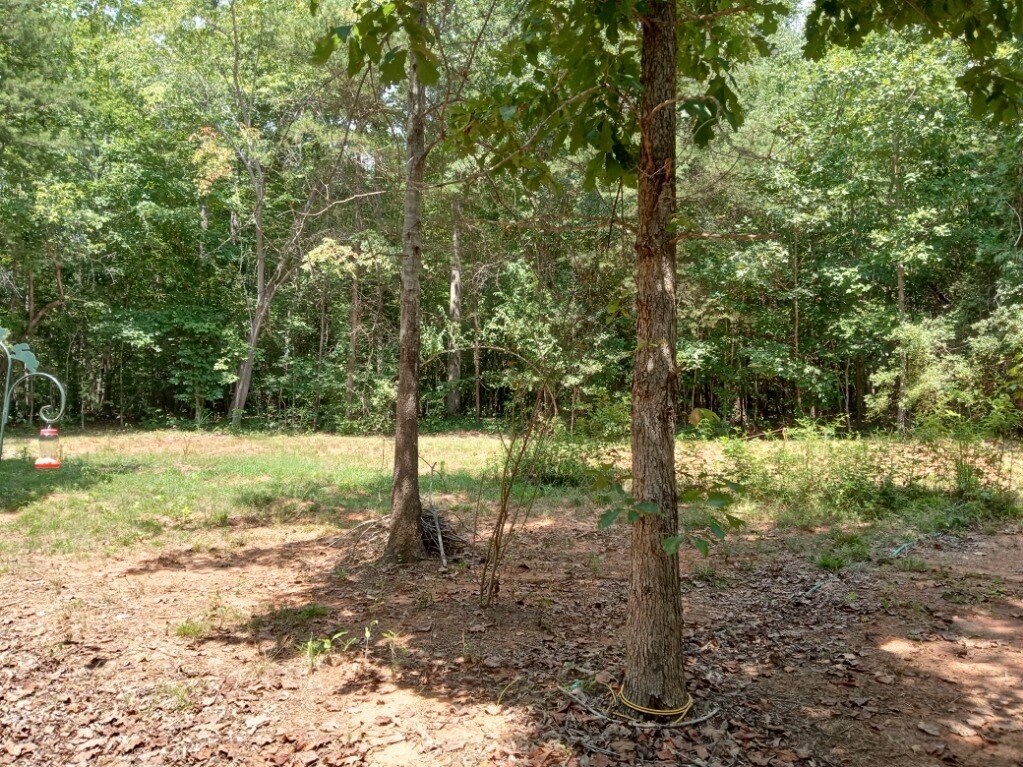 706 Rigsbee Road Westminster, SC 29693 - Photo 8 of 13 Gallery Image 8