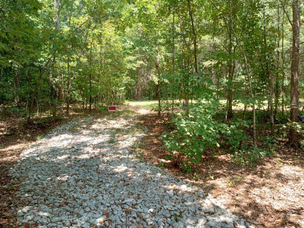 706 Rigsbee Road Westminster, SC 29693 - Photo 10 of 13 Gallery Image 10