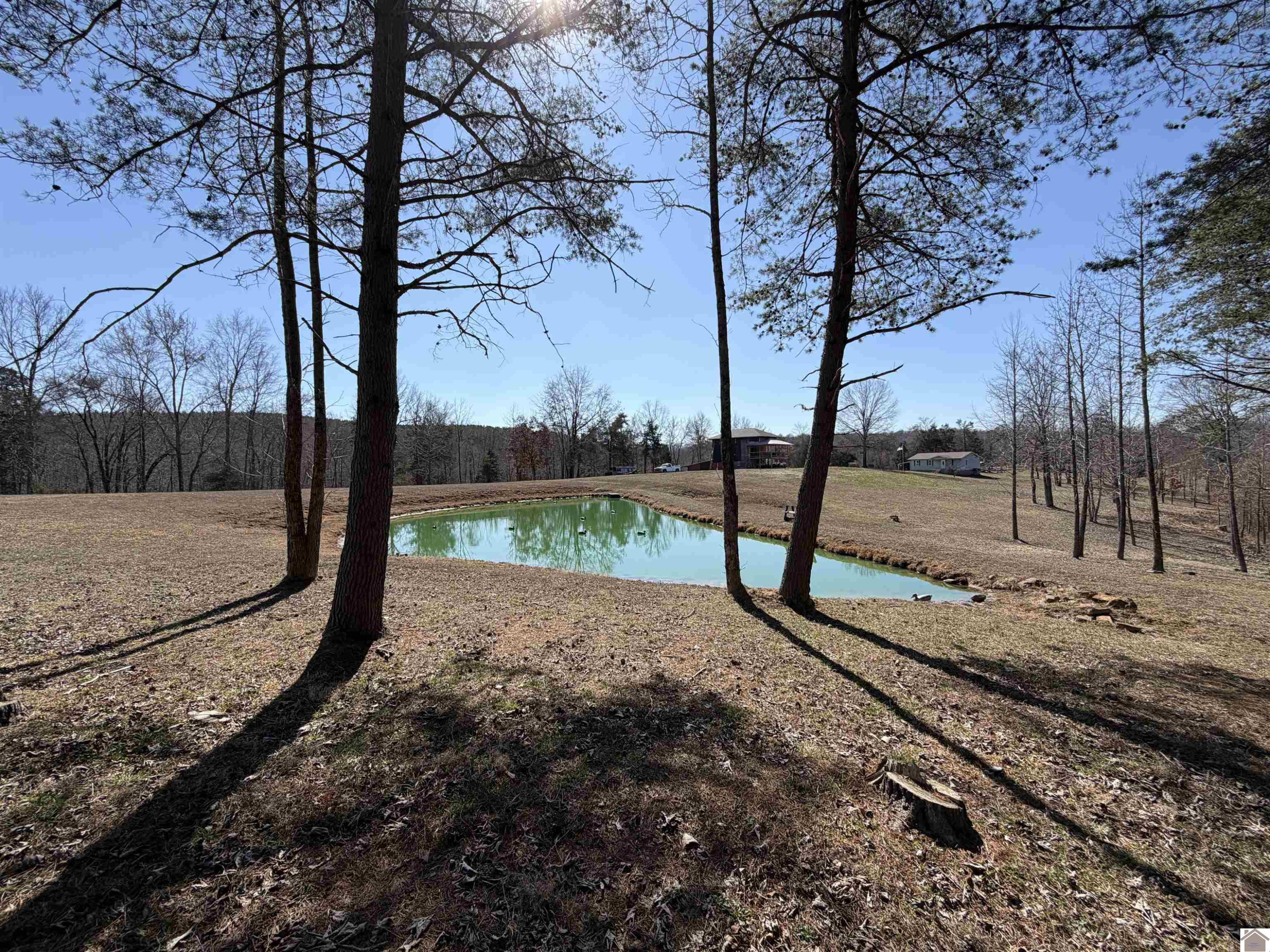 1249 Fairview Church Road Princeton, KY 42445 - Photo 29 of 40 Photo 29