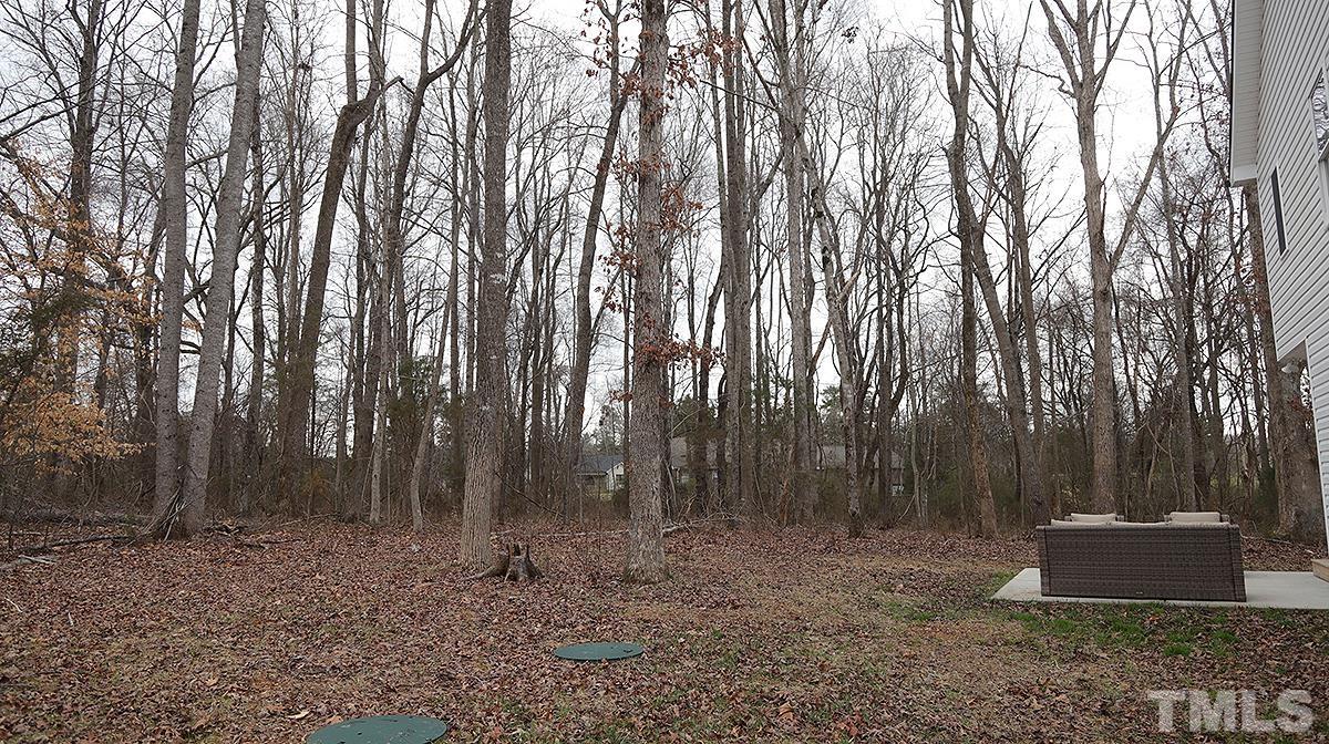 5000 West Pool Road Rougemont, NC 27572 - Photo 28 of 29 a backyard of a house with lots of trees