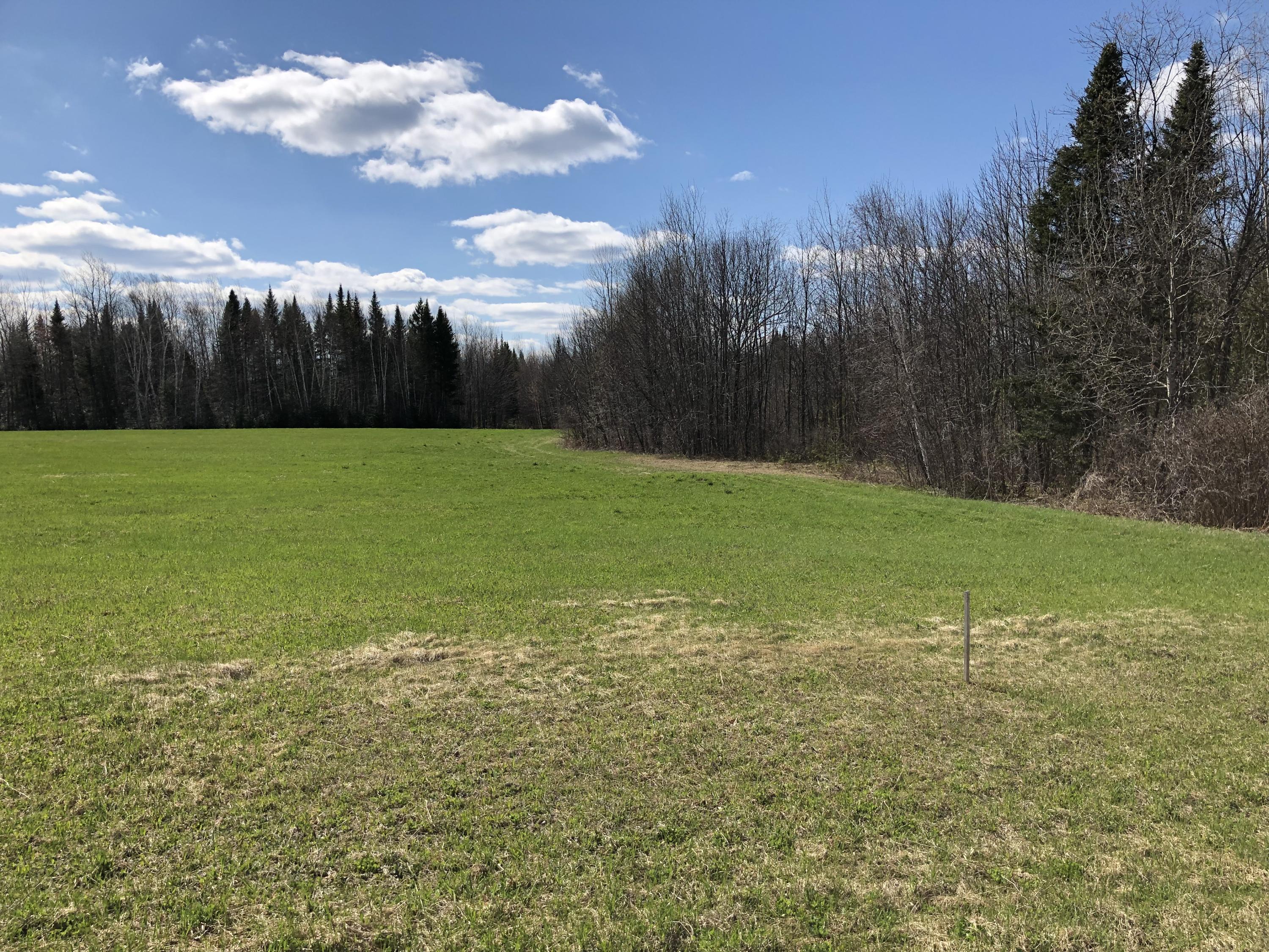 L35 McSheffery Road Houlton, ME 04730 - Photo 2 of 4 IMG_5990