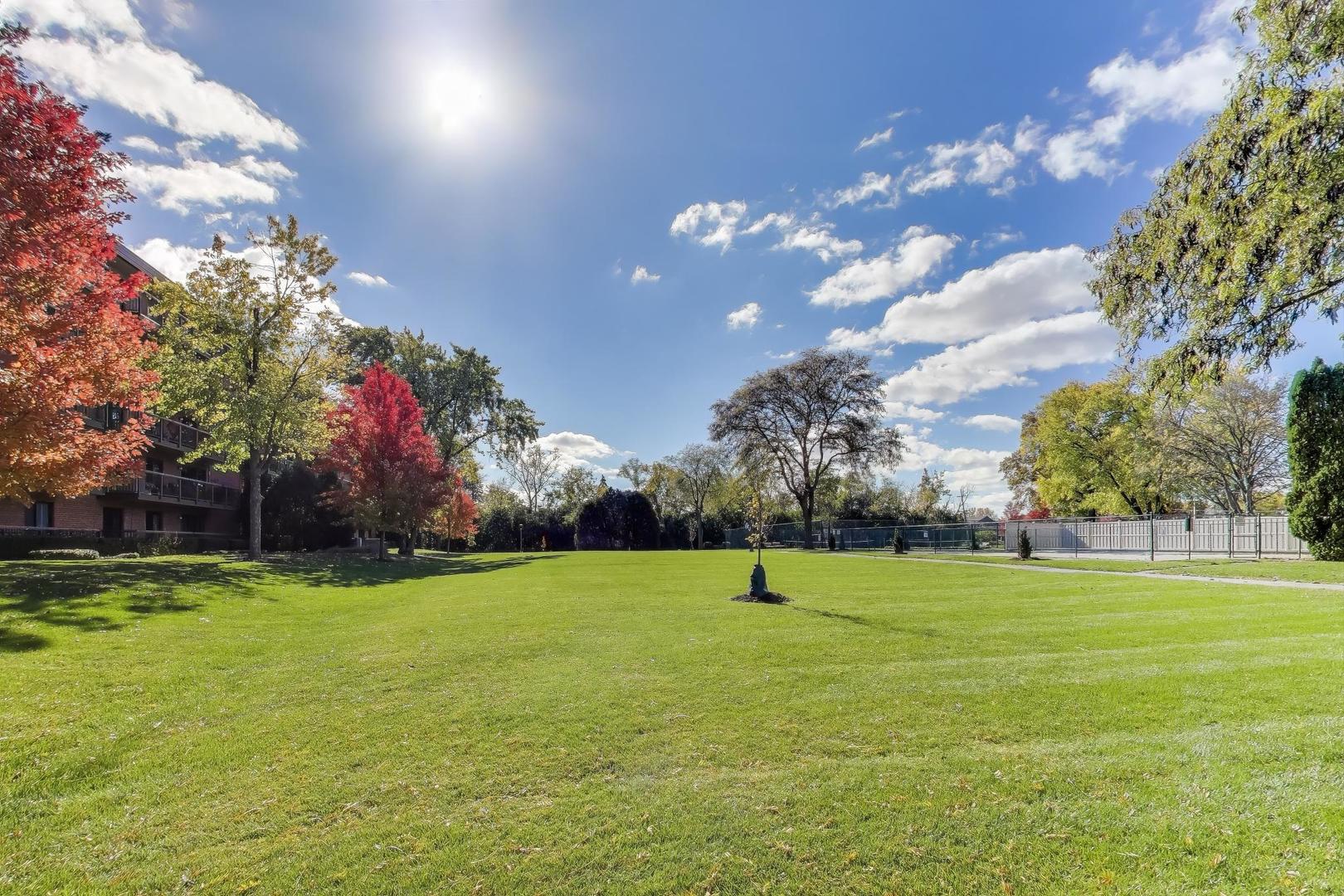 6443 Clarendon Hills Road, Unit 100D Willowbrook, IL 60527 - Photo 27 of 31 a view of a volley ball court