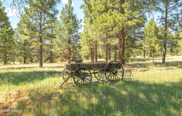 a view of swimming pool with an outdoor space
