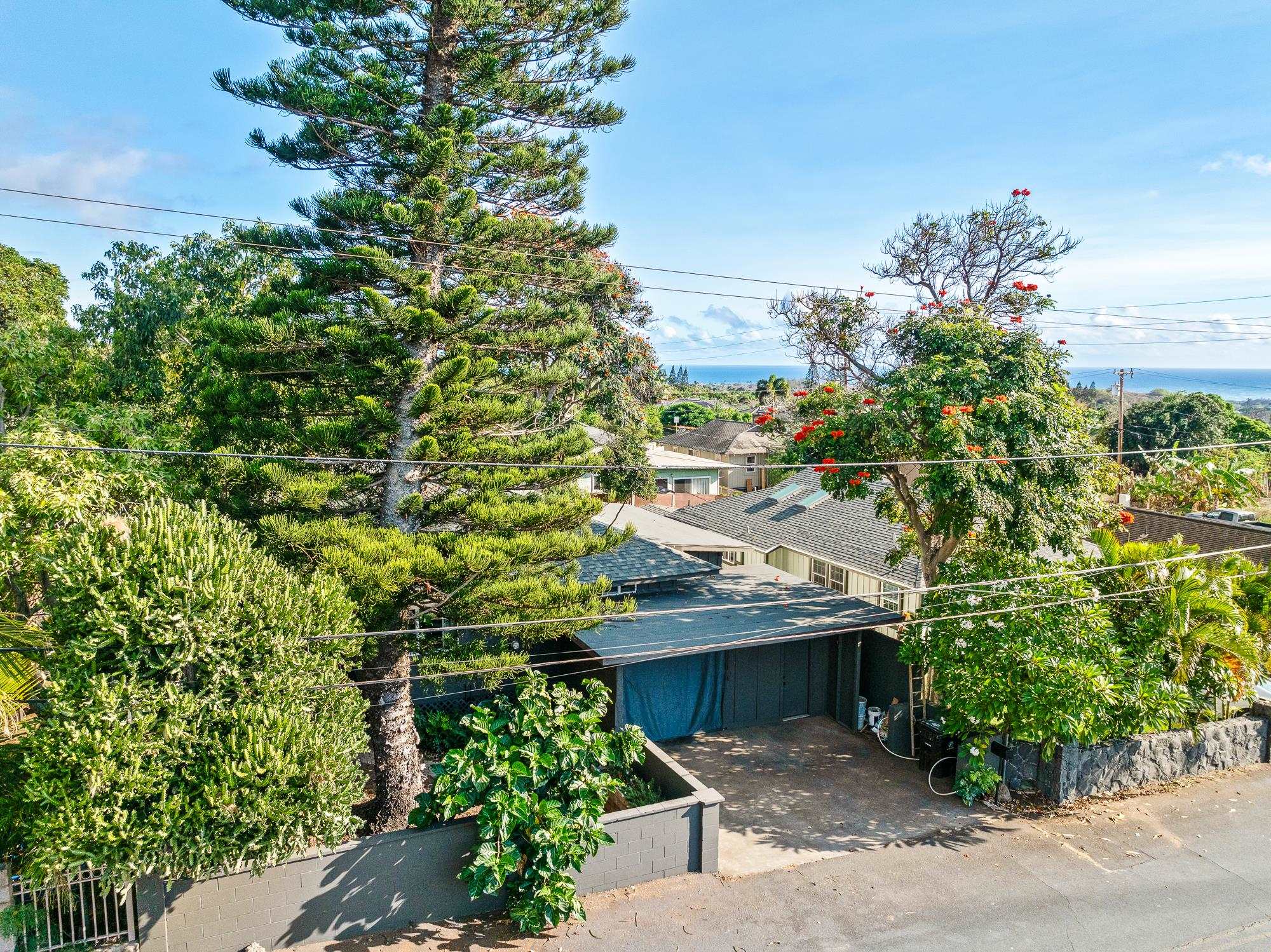 2074 Puuohala Road Wailuku, HI 96793 - Photo 31 of 37 an aerial view of a house with a yard and garden