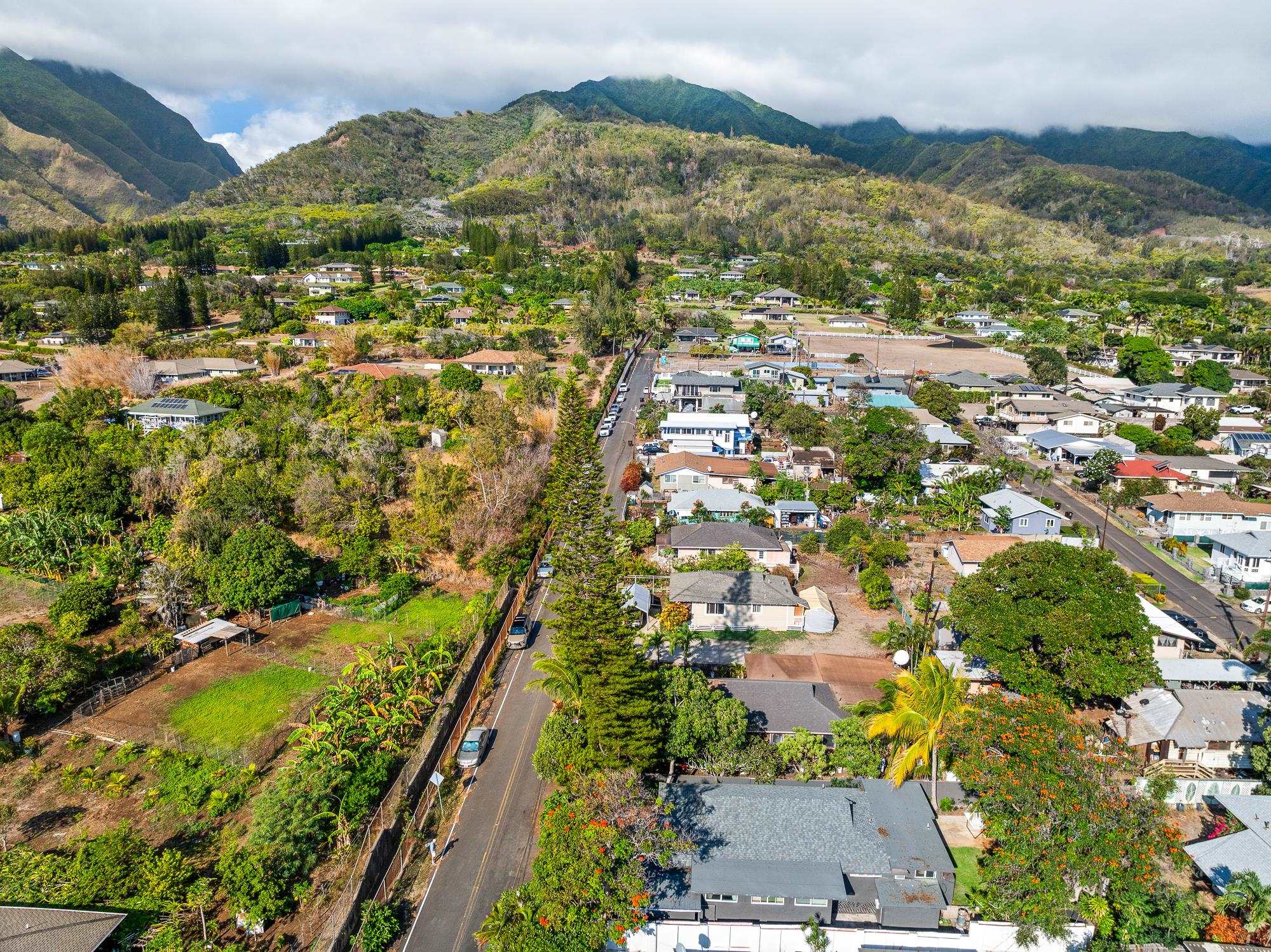 2074 Puuohala Road Wailuku, HI 96793 - Photo 36 of 37 an aerial view of residential houses with outdoor space and trees