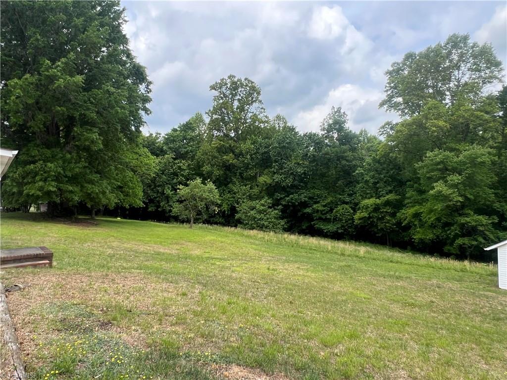 6090 Eaton Road Walnut Cove, NC 27052 - Photo 3 of 19