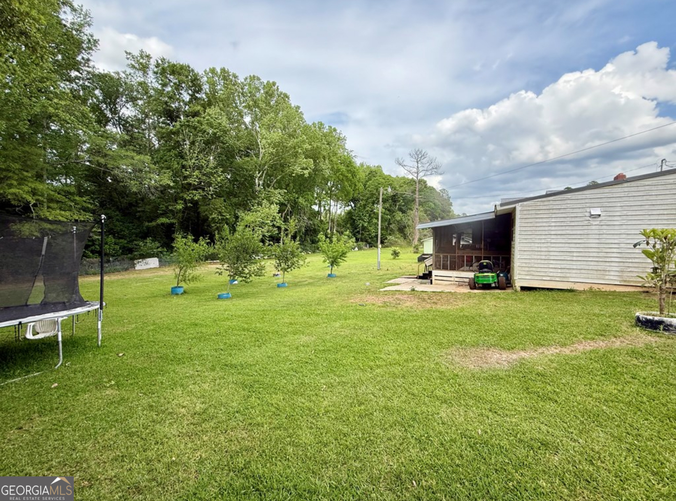 93 Arnall Boulevard Blakely, GA 39823 - Photo 40 of 43 a backyard of a house with lots of green space