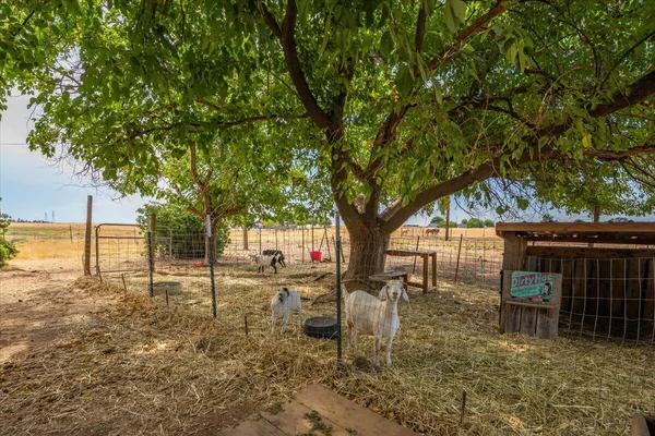 $680,000 | 20050 Plains Drive, Red Bluff, CA 96080