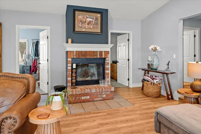 a view of a garden with plants and a bench