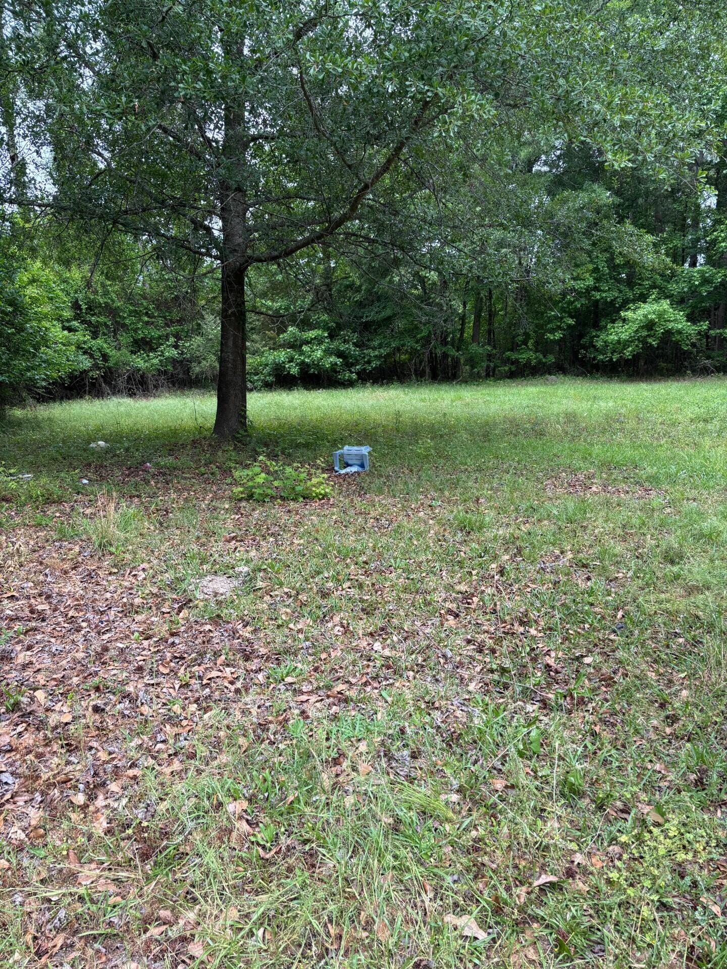 12326 Plowden Mill Road Alcolu, SC 29001 - Photo 4 of 4