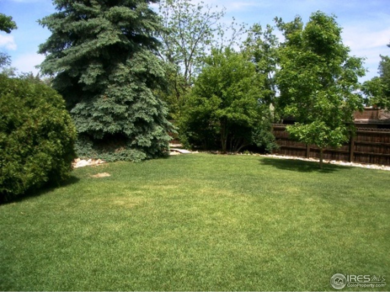 8863 Walker Road Niwot, CO 80503 - Photo 18 of 18 Backyard