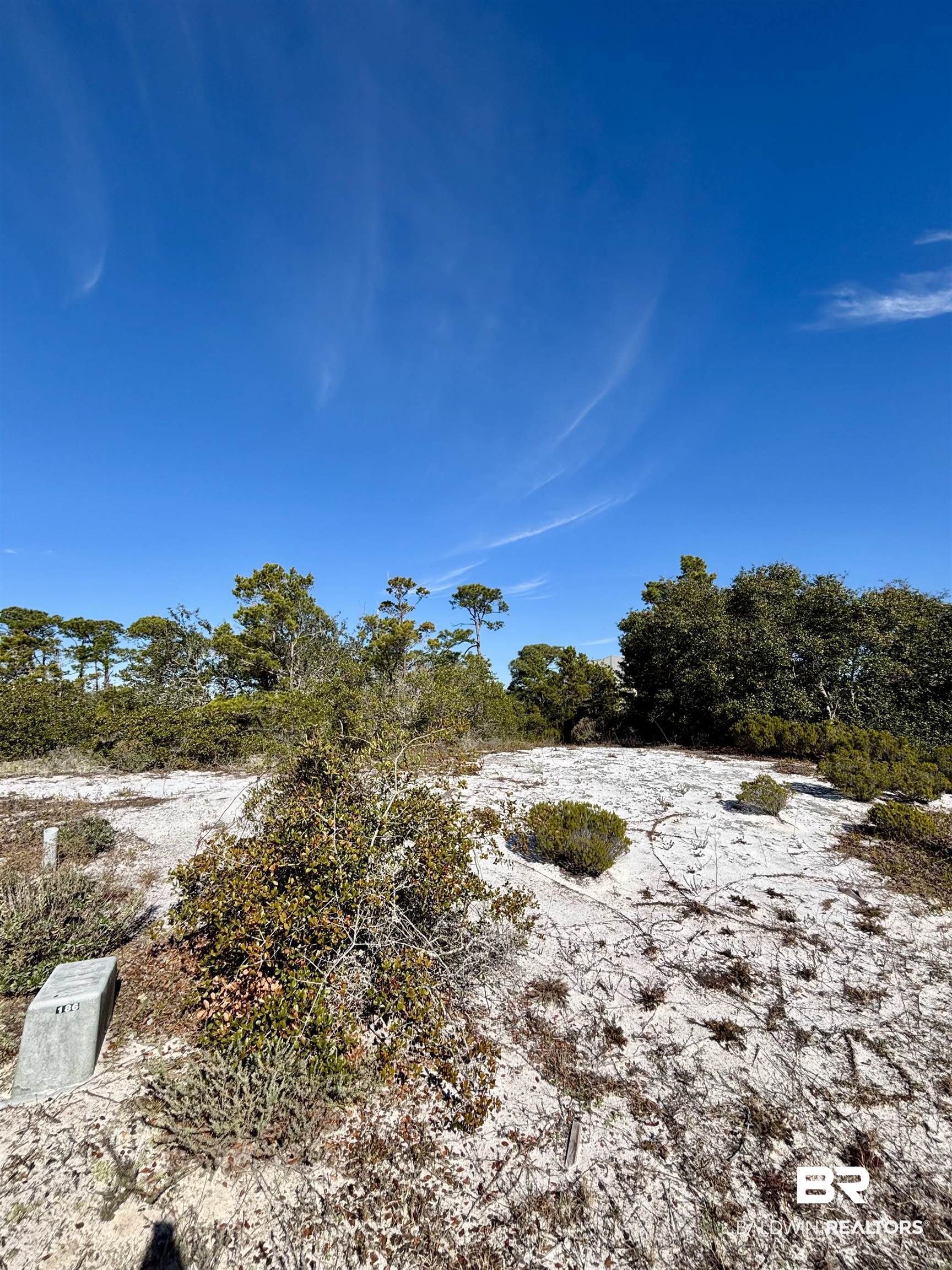 0 River Road Orange Beach, AL 36561 - Photo 2 of 16 Gallery Image 2