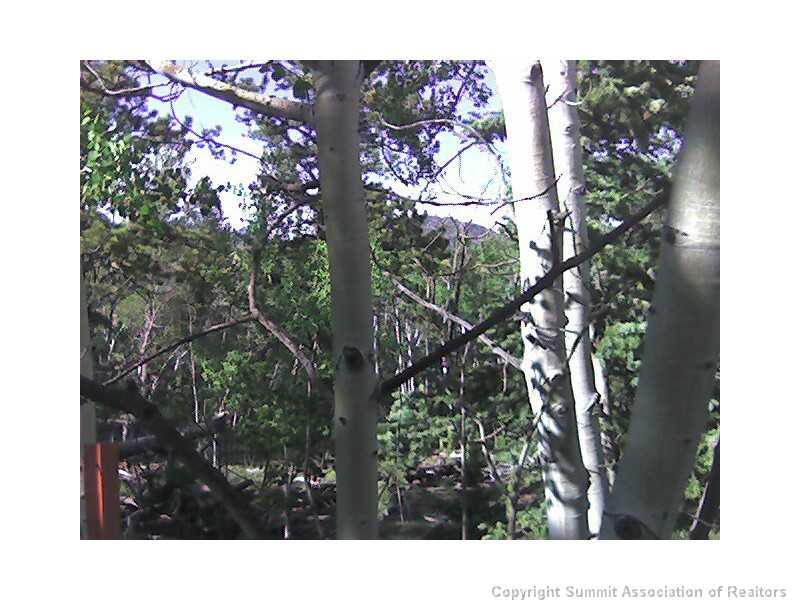 237 Smith And Wesson Road Como, CO 80432 - Photo 4 of 5 Gallery Image 4