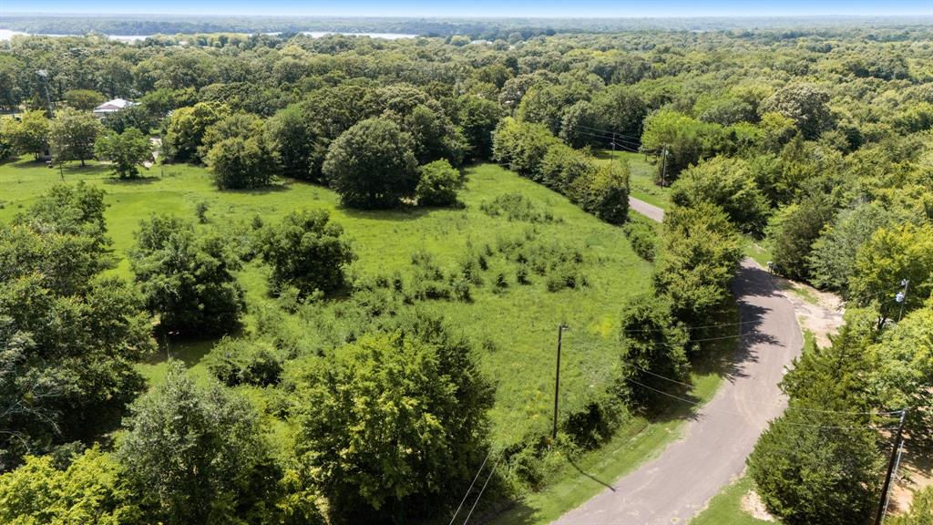 0 County Road 1727 Yantis, TX 75497 - Photo 5 of 7 a view of a forest with a houses