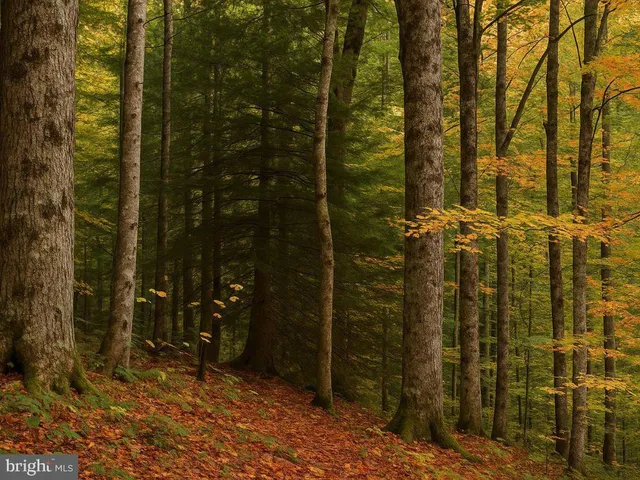 $7,500 | 35296 Diplomat Drive, Mechanicsville, MD 20659