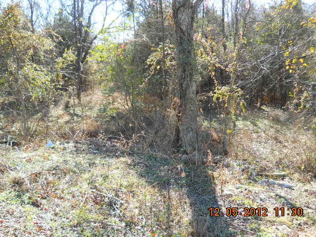 370 North Commerce Road Lebanon, TN 37090 - Photo 8 of 20 a view of a yard with plants and trees