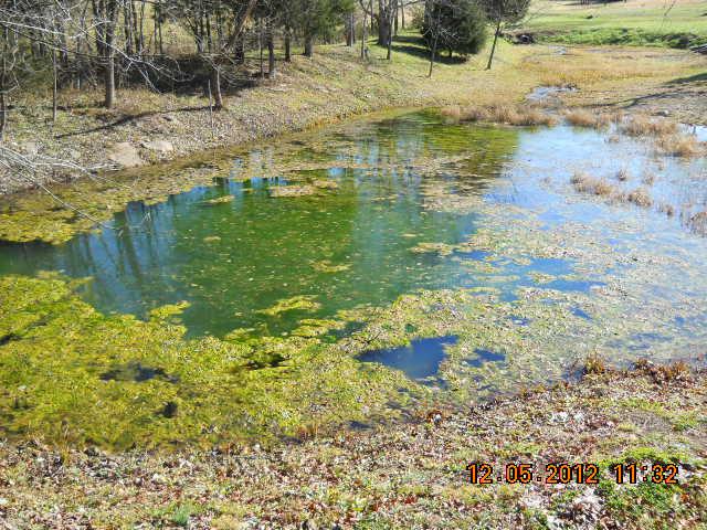 370 North Commerce Road Lebanon, TN 37090 - Photo 9 of 20 a view of a lake view