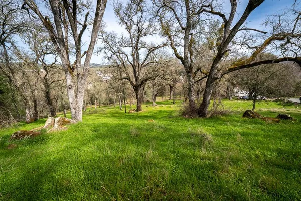 a view of park with trees