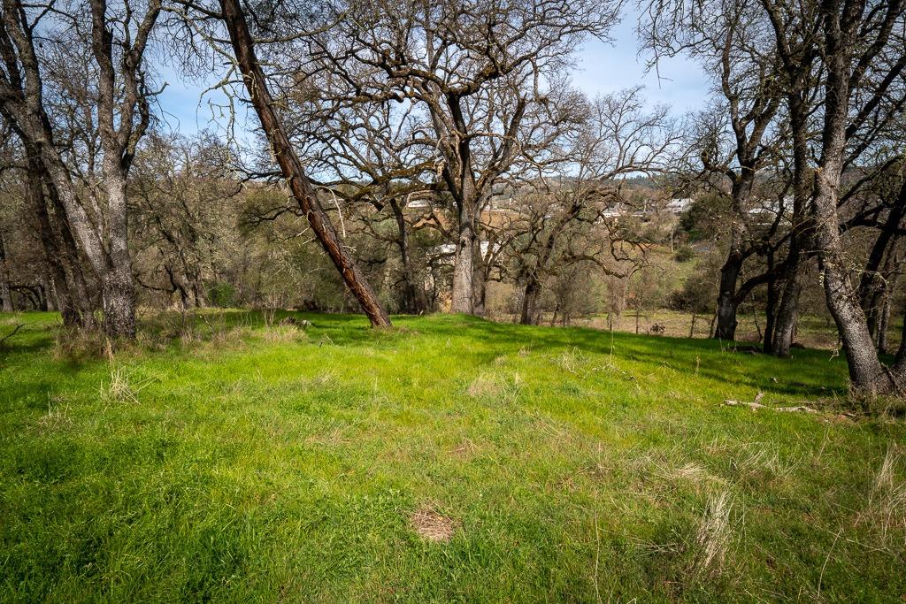 0 Kern Street Jackson, CA 95642 - Photo 11 of 23 a view of yard with green space