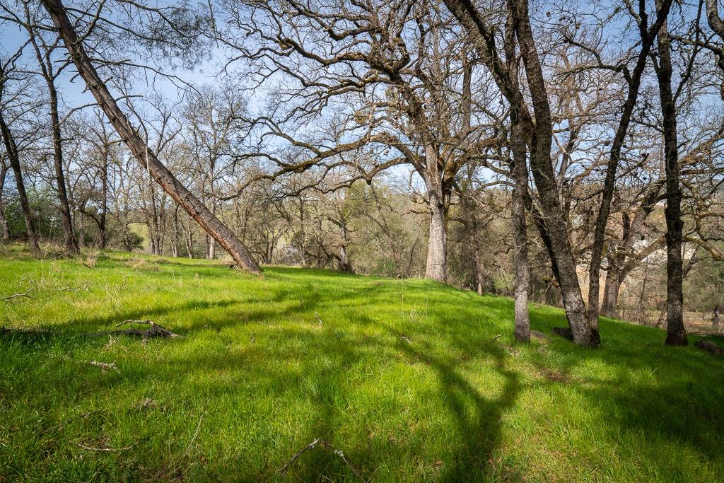 0 Kern Street Jackson, CA 95642 - Photo 12 of 23 a view of a park with large trees