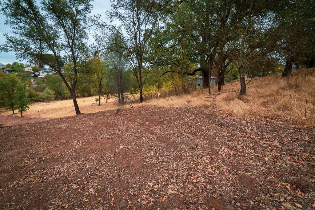 0 Kern Street Jackson, CA 95642 - Photo 13 of 23 a view of a yard with trees