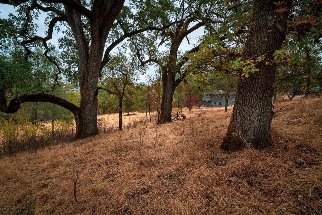 0 Kern Street Jackson, CA 95642 - Photo 14 of 23 a view of backyard with tree