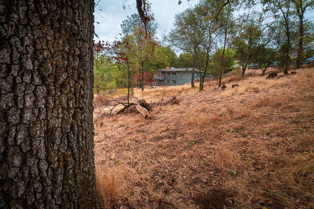 0 Kern Street Jackson, CA 95642 - Photo 15 of 23 a view of outdoor space with trees