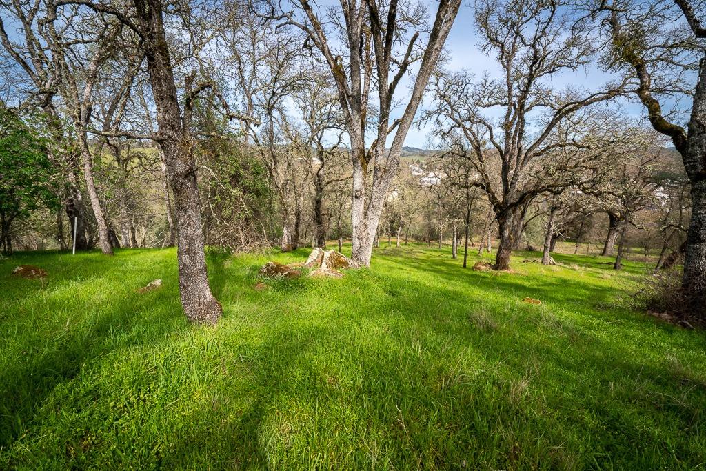 0 Kern Street Jackson, CA 95642 - Photo 5 of 23 a view of yard with trees