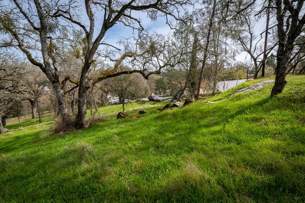 0 Kern Street Jackson, CA 95642 - Photo 6 of 23 a view of park with trees