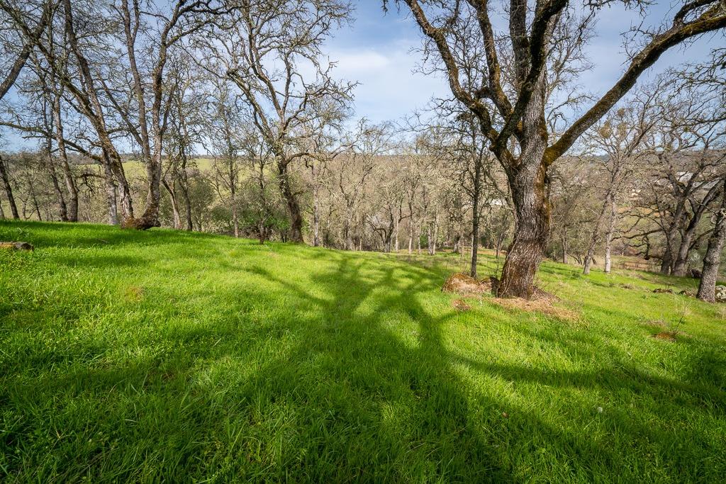 0 Kern Street Jackson, CA 95642 - Photo 7 of 23
