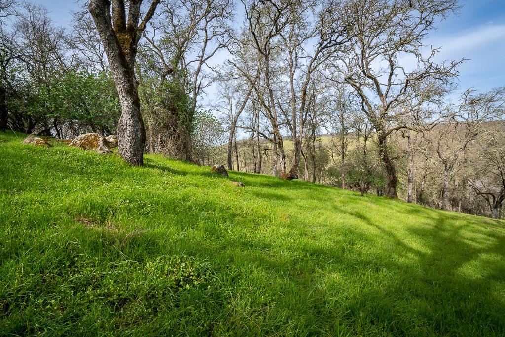 0 Kern Street Jackson, CA 95642 - Photo 9 of 23 a backyard of a house with lots of green space