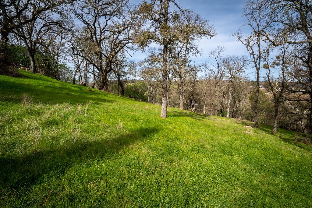 0 Kern Street Jackson, CA 95642 - Photo 10 of 23 a view of yard with green space