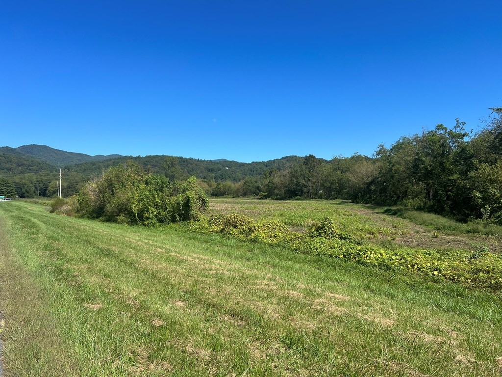 0 Marble Plant Road Marble, NC 28905 - Photo 6 of 8