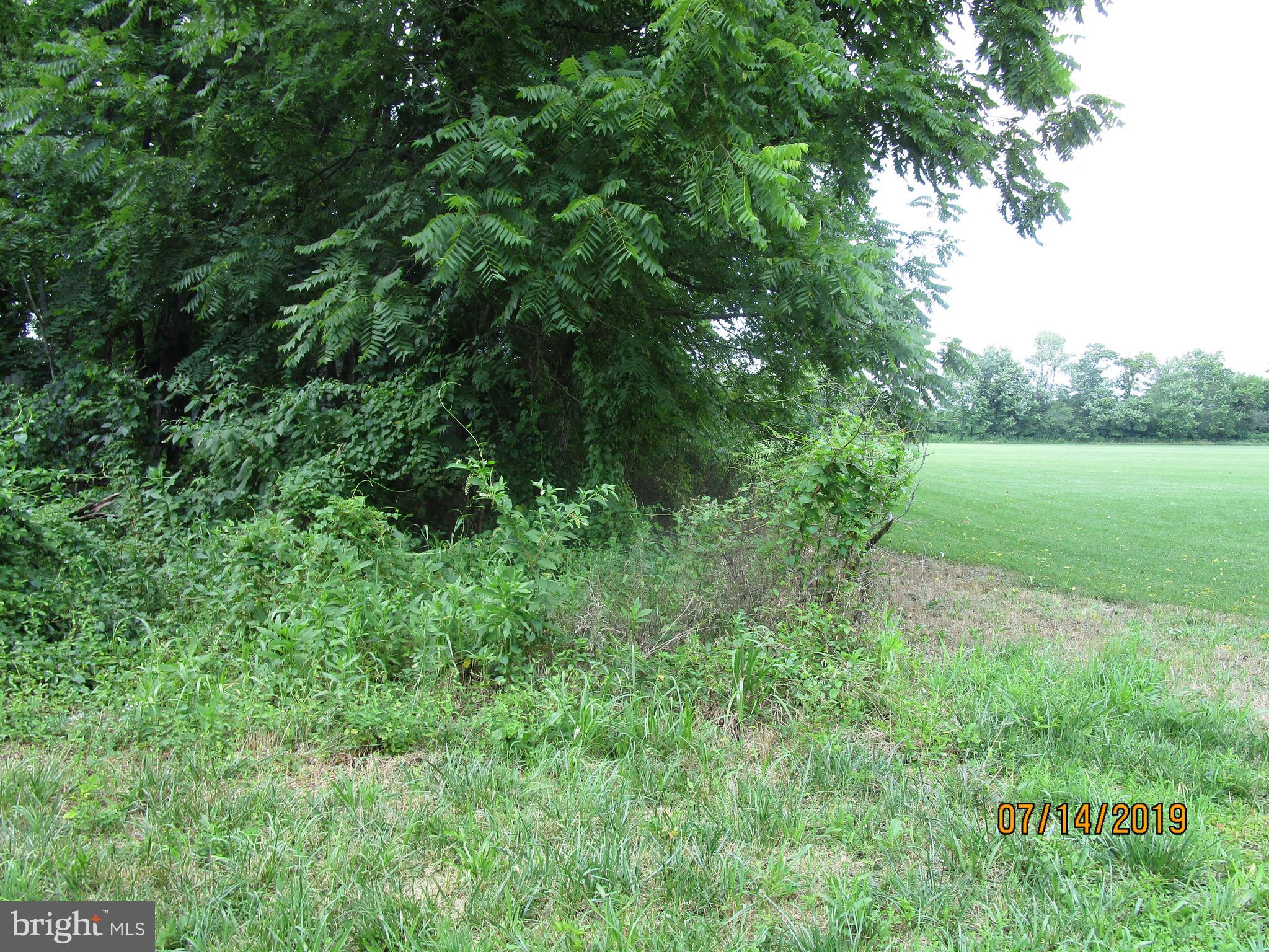 1795 Swamp Road Furlong, PA 18925 - Photo 18 of 90