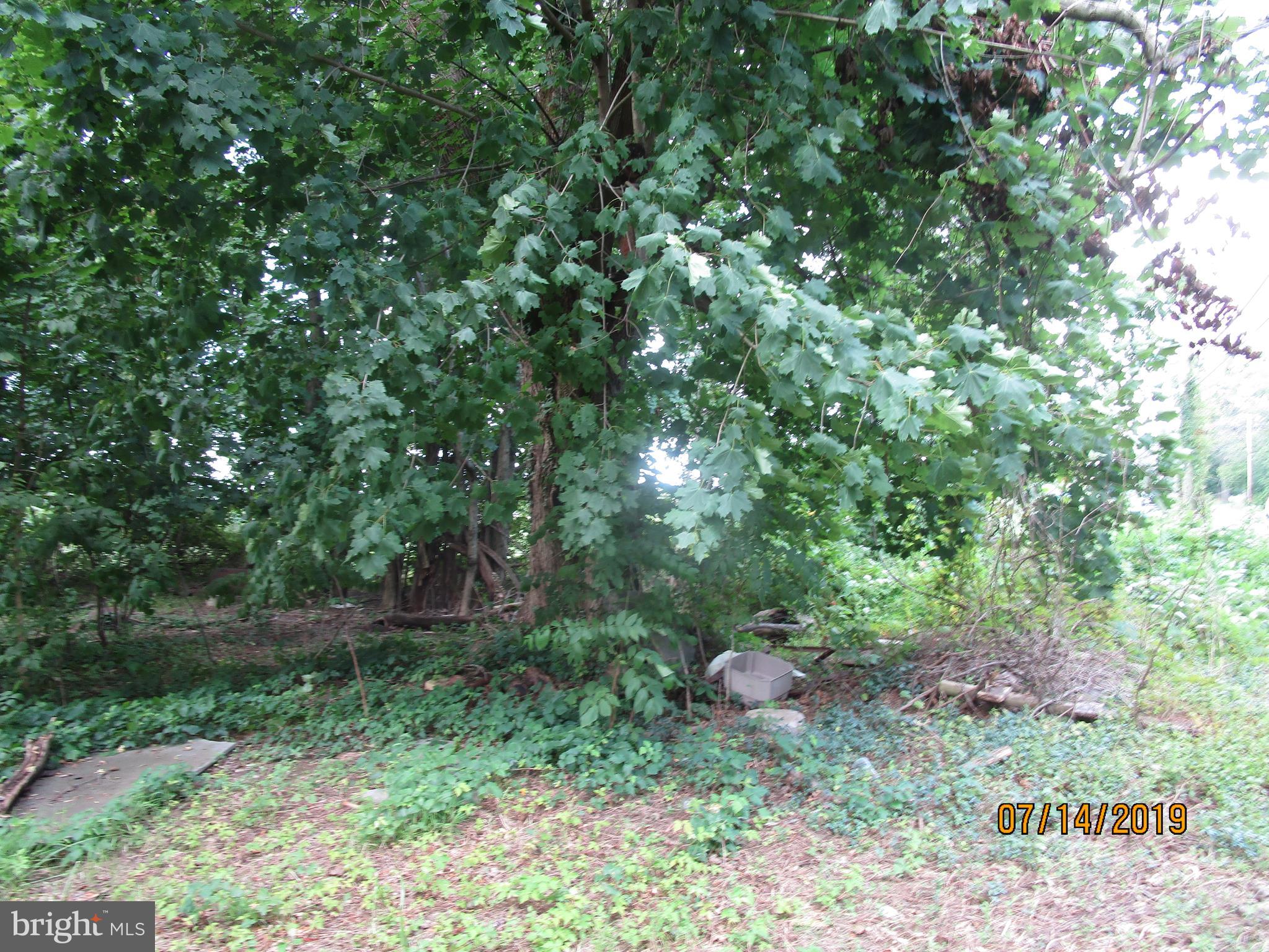 1795 Swamp Road Furlong, PA 18925 - Photo 19 of 90