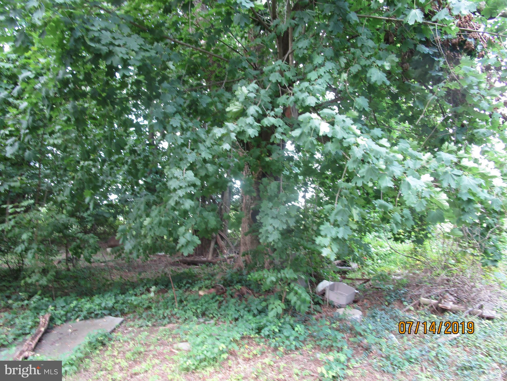 1795 Swamp Road Furlong, PA 18925 - Photo 20 of 90
