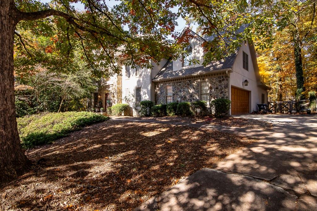 a view of road with large trees