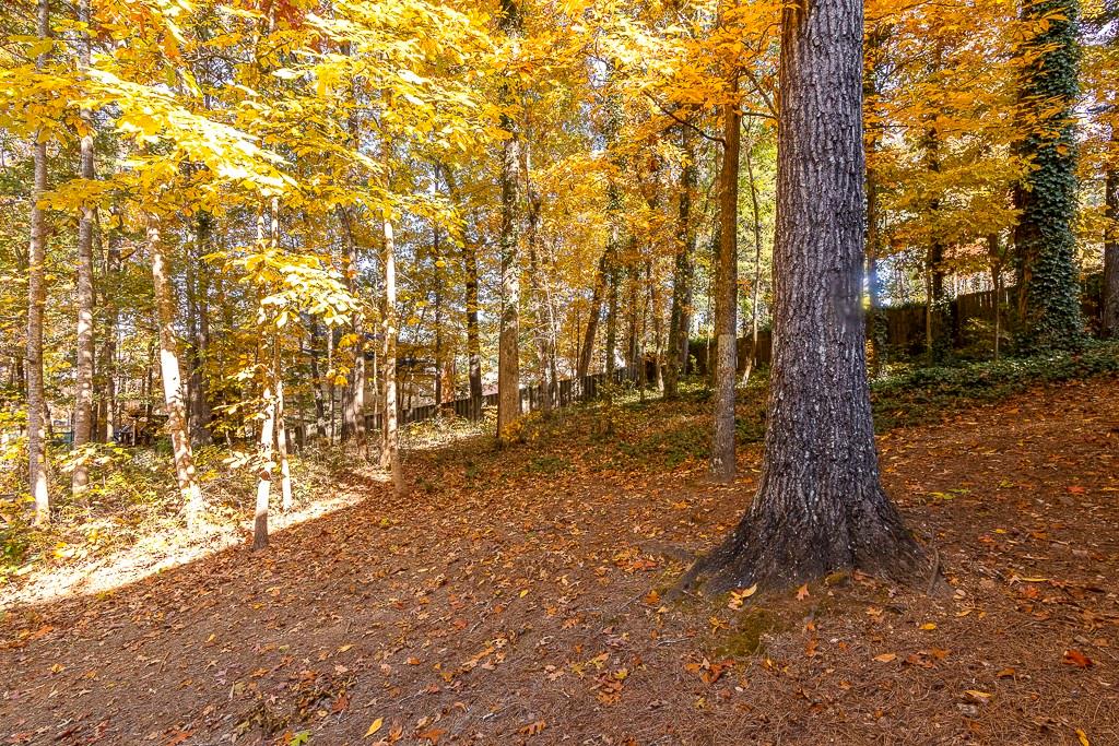 135 Lazy Laurel Chase Roswell, GA 30076 - Photo 52 of 64